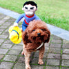 Funny Pet Costumes