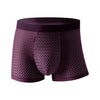 Boxers Seda Helada