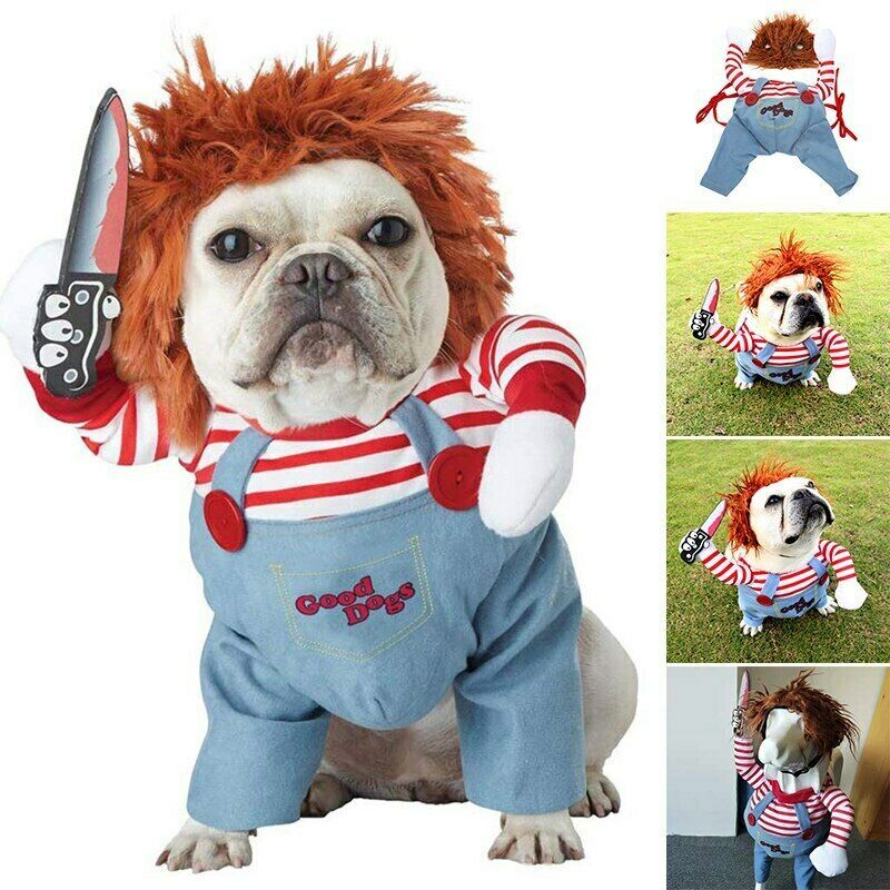 Funny Pet Costumes