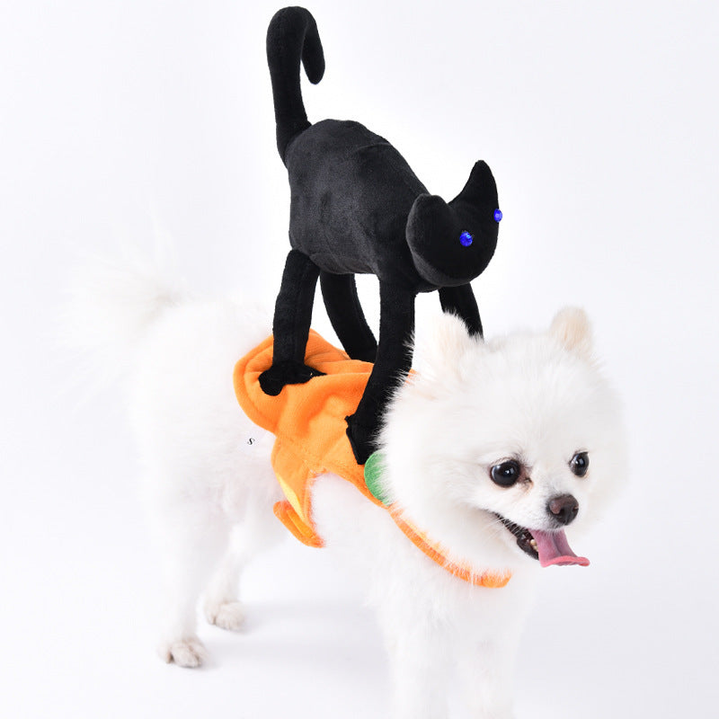 Funny Pet Costumes