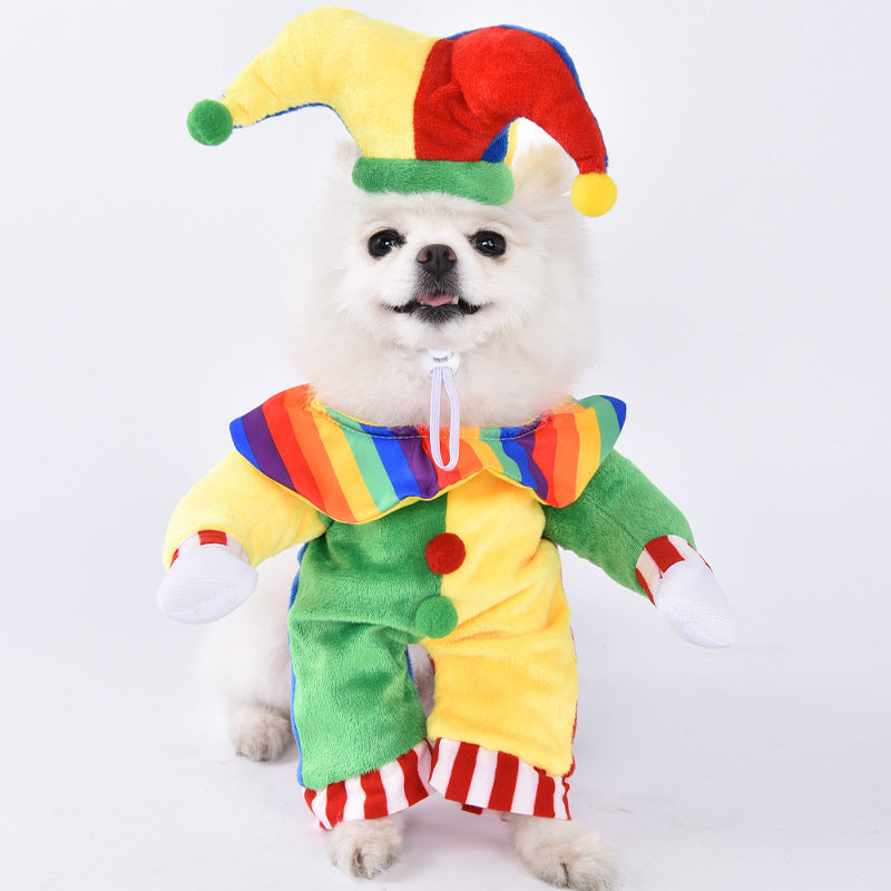 Funny Pet Costumes